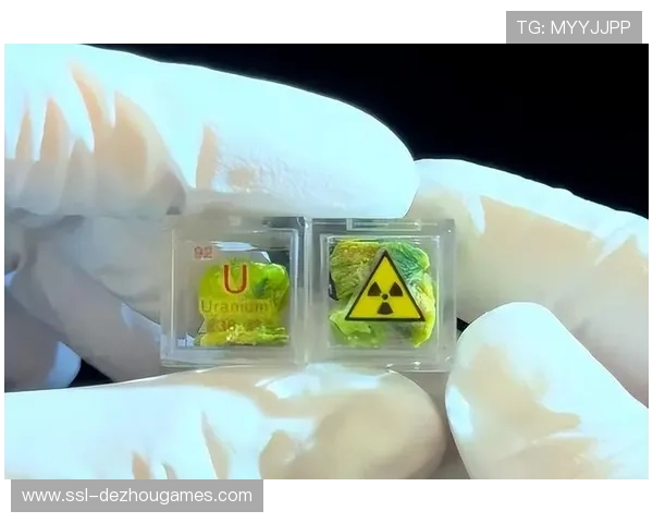 吉莱姆体育场成纳什维尔SC主场率先实现联盟首座碳中和里程碑 吉莱姆体育场成纳什维尔SC主场率先实现联盟首座碳中和里程碑